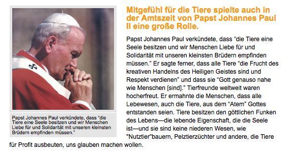 Galerie Snapshots: Papst Jp 2 20111127 1081580107
